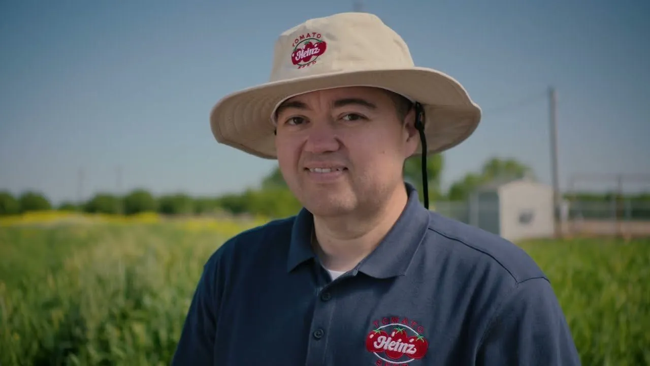 A Heinz grower in the field.