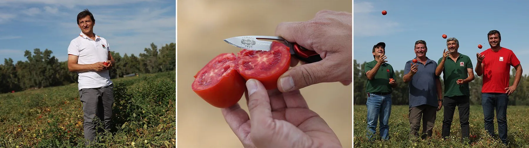 From the vine to the knife.
