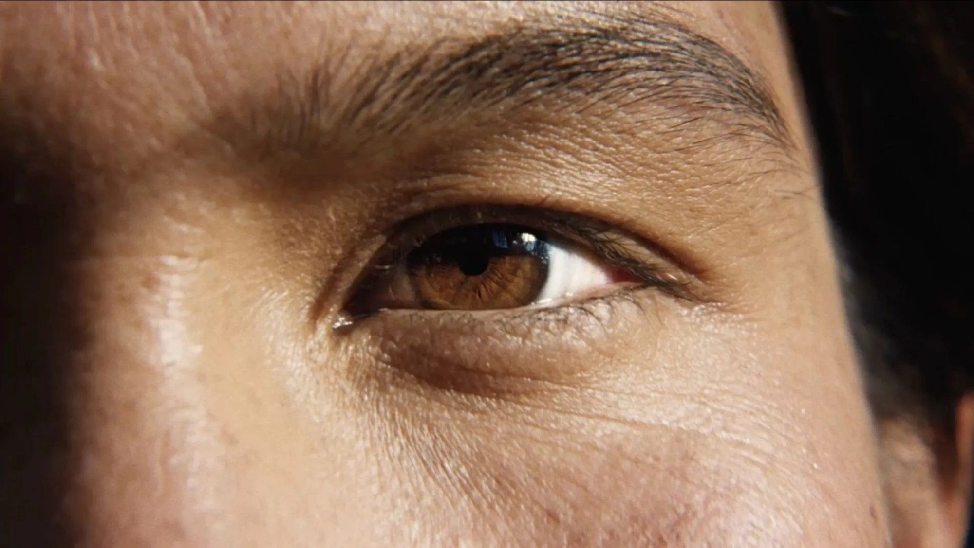A close-up from the film.